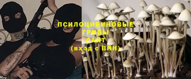 hydra как войти  Лангепас  Галлюциногенные грибы MAGIC MUSHROOMS  магазин  наркотиков 